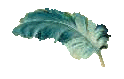 feather